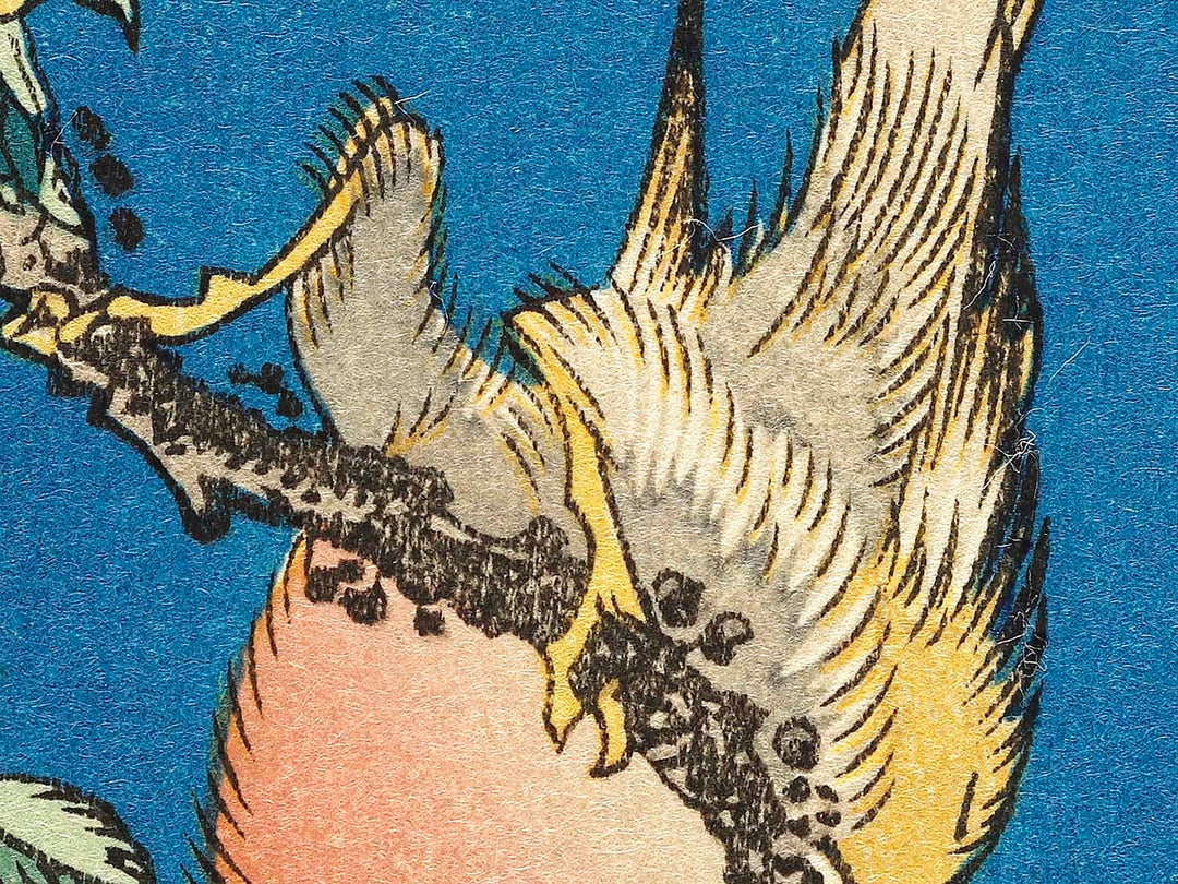 Weeping cherry blossoms against a dark indigo background, capturing the moment a Japanese bullfinch comes to peck at the blossoms. by Katsushika Hokusai, (Medium print size) / BJ319-445
