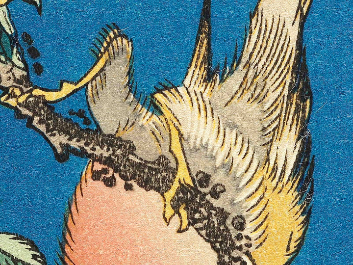 Weeping cherry blossoms against a dark indigo background, capturing the moment a Japanese bullfinch comes to peck at the blossoms. by Katsushika Hokusai, (Medium print size) / BJ319-445