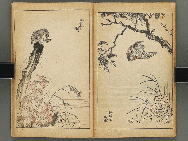 Kacho gafu by Adachi Ginko / BJ333-438