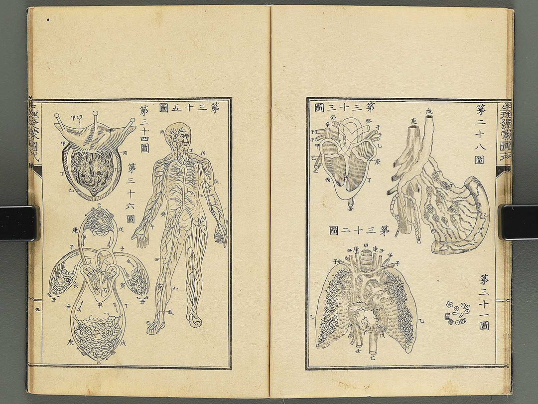 Seiri hatsumo zushiki / BJ343-658