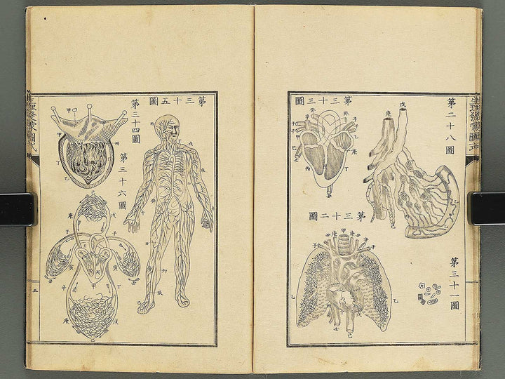 Seiri hatsumo zushiki / BJ343-658