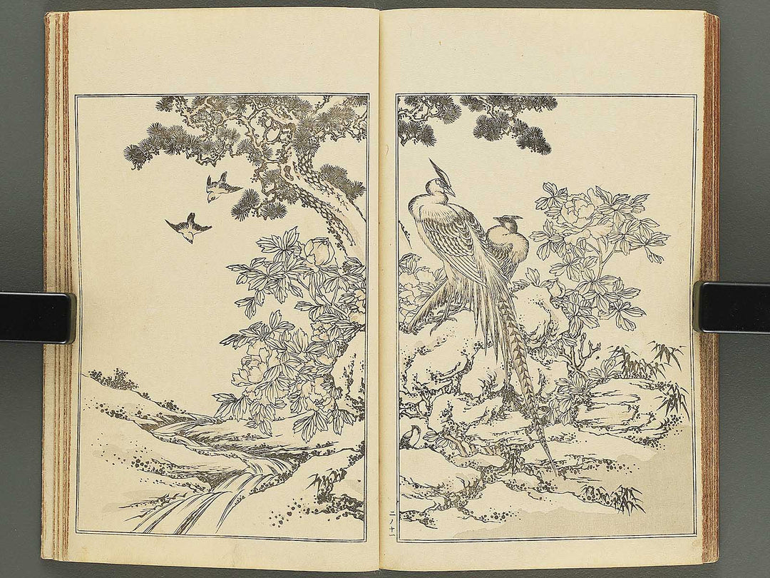 Kansai gafu Volume 2 by Ichikawa Kansai / BJ345-100