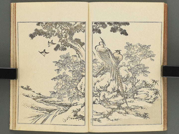 Kansai gafu Volume 2 by Ichikawa Kansai / BJ345-100
