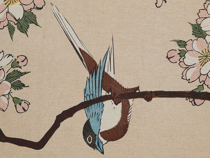 Sakura ni kotori by Utagawa Hiroshige, (Large print size) / BJ324-723