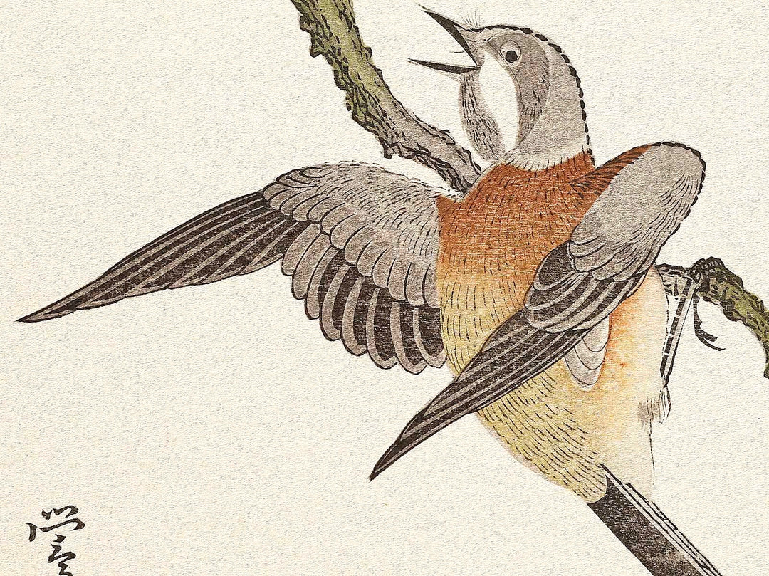 Mountain sparrow and Japanese bush warbler from the series Momochidori kyokaawase by Kitagawa Utamaro, (Large print size) / BJ328-062