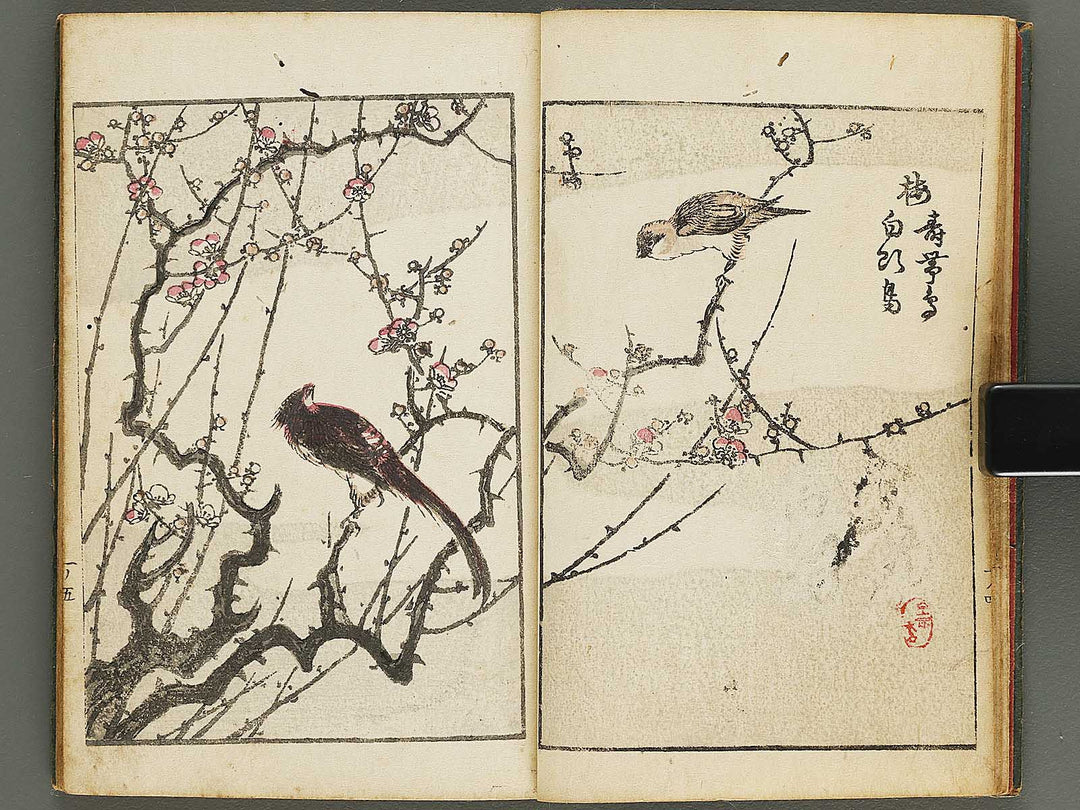 Dokushu mohitsuga tehon Volume 1 by Utagawa-school / BJ323-526