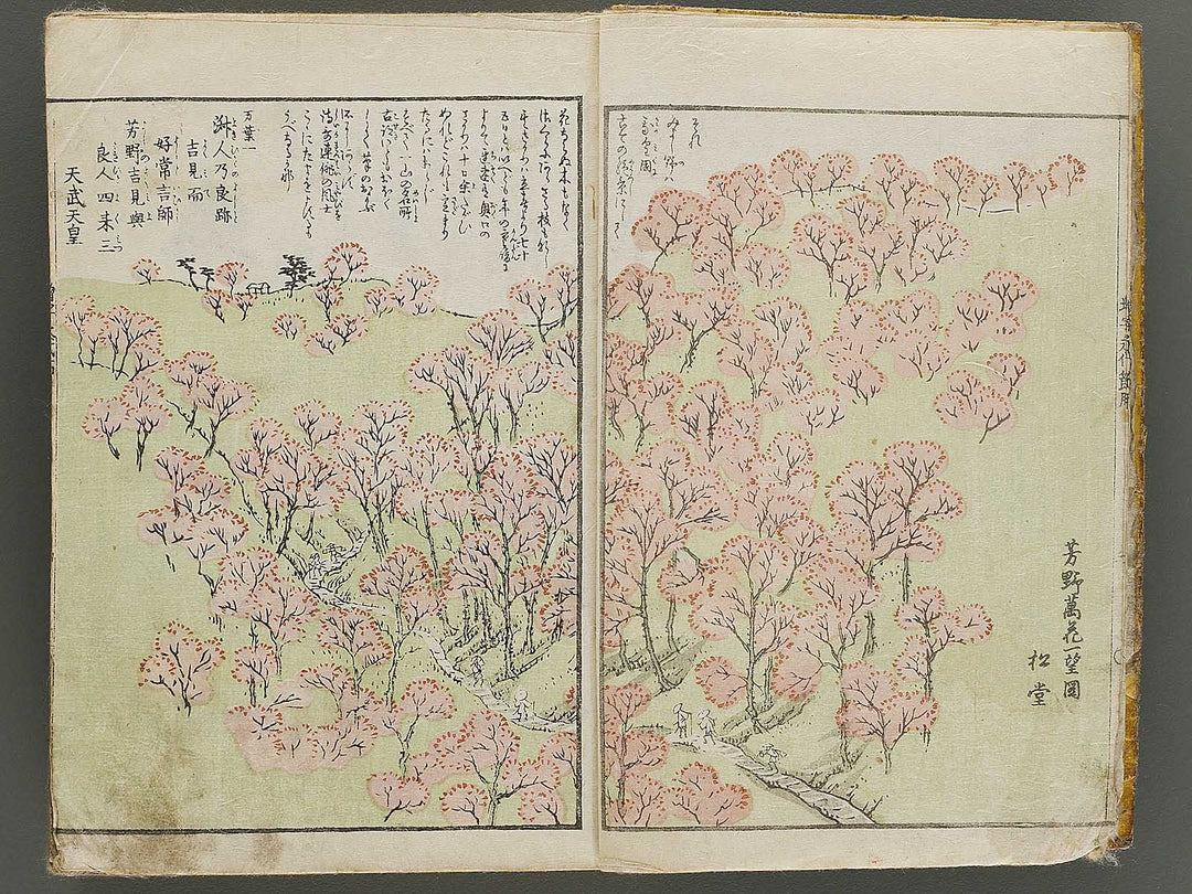 Shinsen dainihon eitai setsuyo mujinzo by Morikawa Yasuyuki / BJ333-473