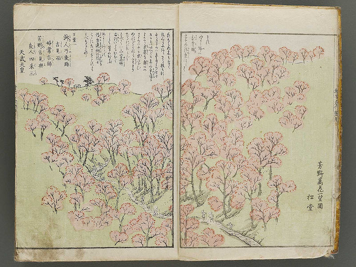 Shinsen dainihon eitai setsuyo mujinzo by Morikawa Yasuyuki / BJ333-473