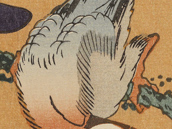 Buncho kobushi no hana by Katsushika Hokusai, (Large print size) / BJ336-119