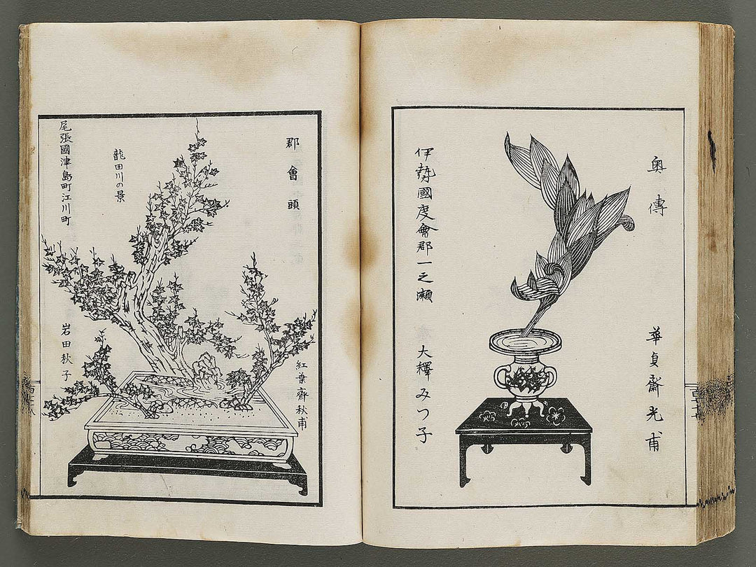 Kinen soka sanko no kaori (Ge) by Sawamura Riho / BJ324-688