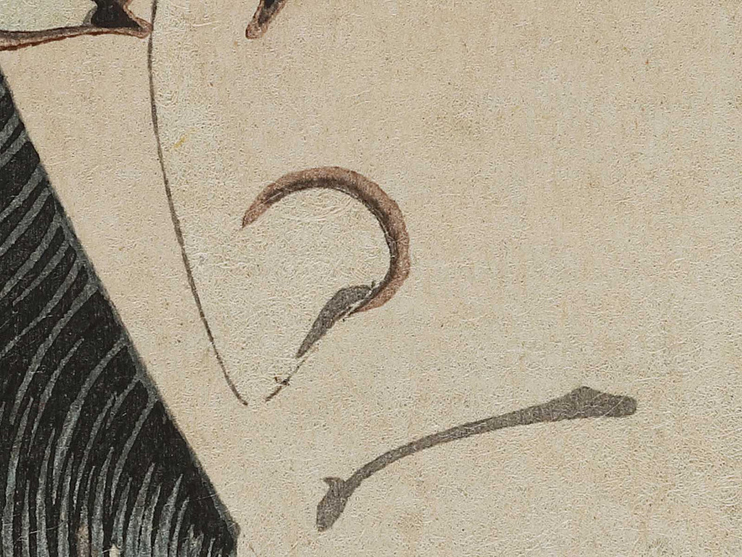 Hoteimaru no Ichiemon from the series Imayo gonin otoko by Toyohara Kunichika / BJ341-649