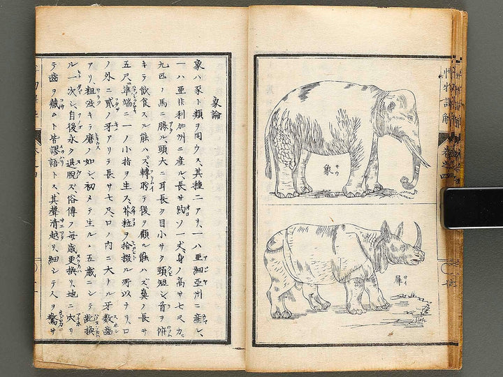 Hakubutsu shinpen yakkai Volume 4 / BJ326-879