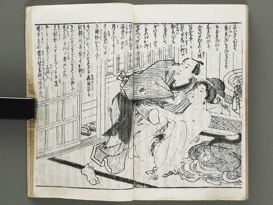 Chigusa no hana futatsu chocho by Utagawa-school / BJ316-183