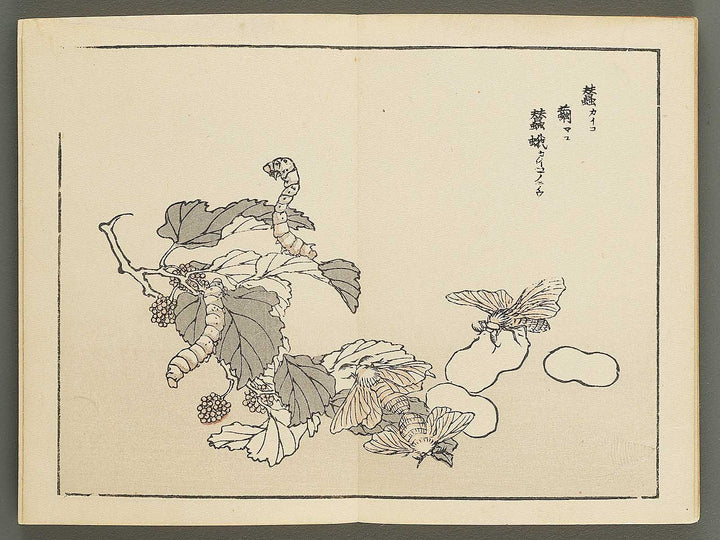 Bairei gafu (Churui no bu) by Kono Bairei / BJ351-120
