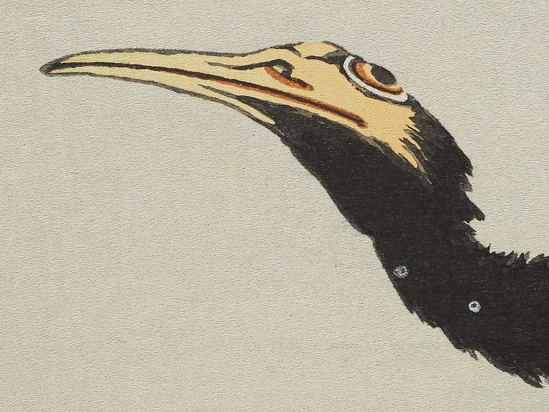 A cormorant stands resolute at the head of a rock by the sea by Katsushika Hokusai, (Medium print size) / BJ325-017