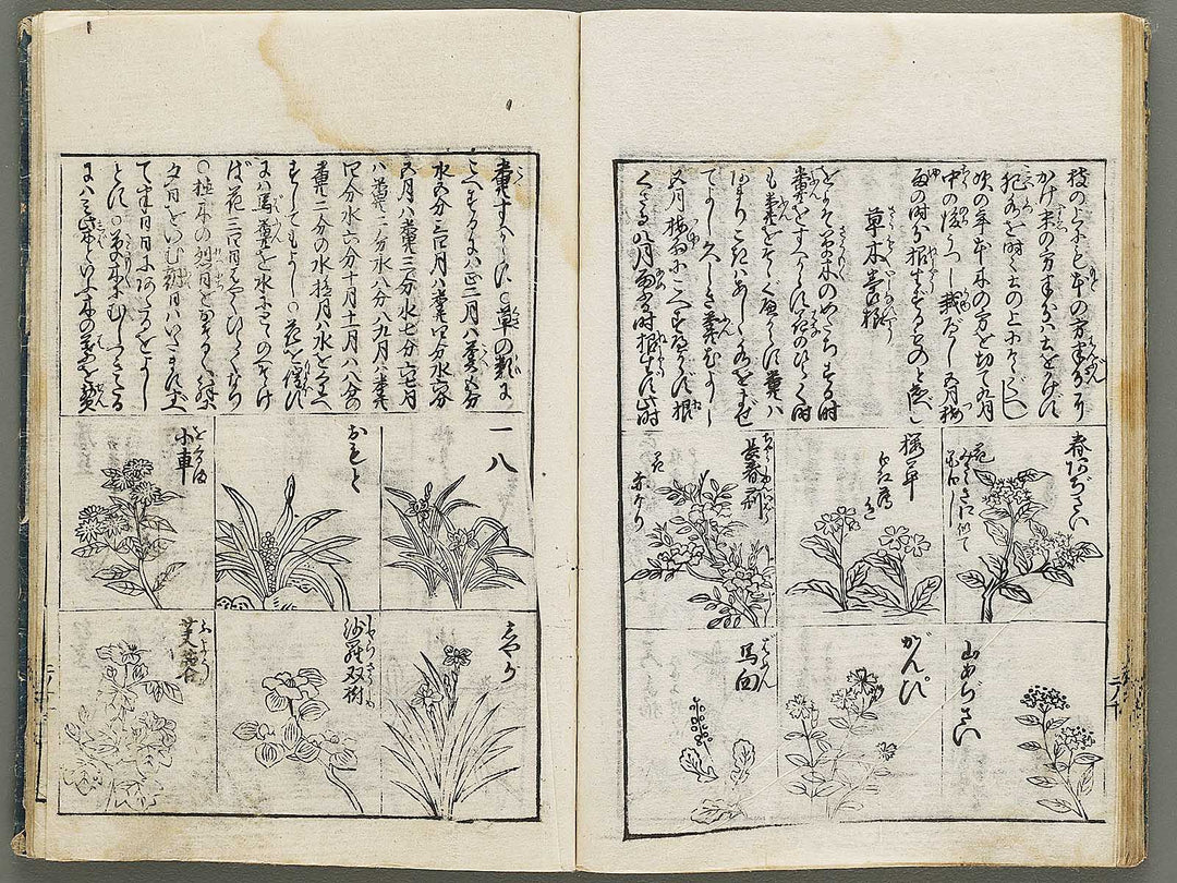 Kado zensho Volume 1 / BJ335-328