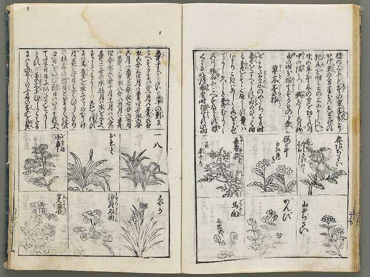 Kado zensho Volume 1 / BJ335-328