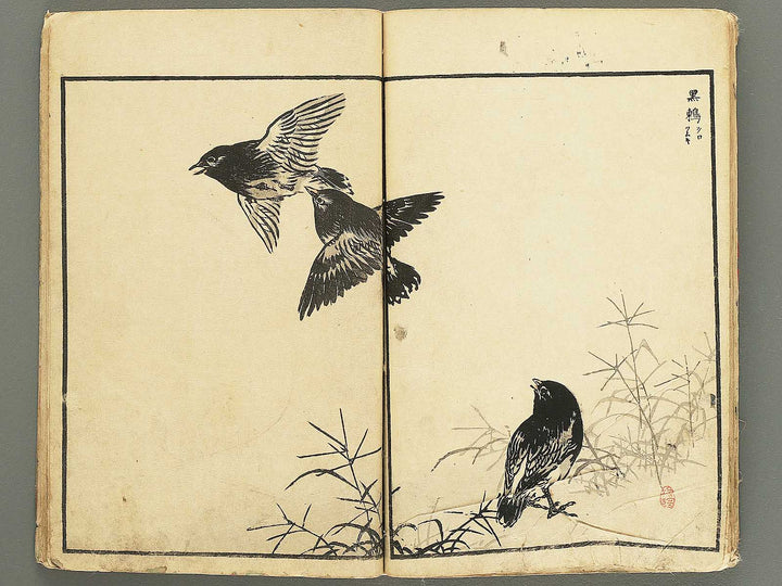 Bairei hyakucho gafu by Kono Bairei / BJ354-907