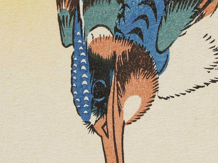 Hydrangea glue cicada by Utagawa Hiroshige, (Medium print size) / BJ328-153