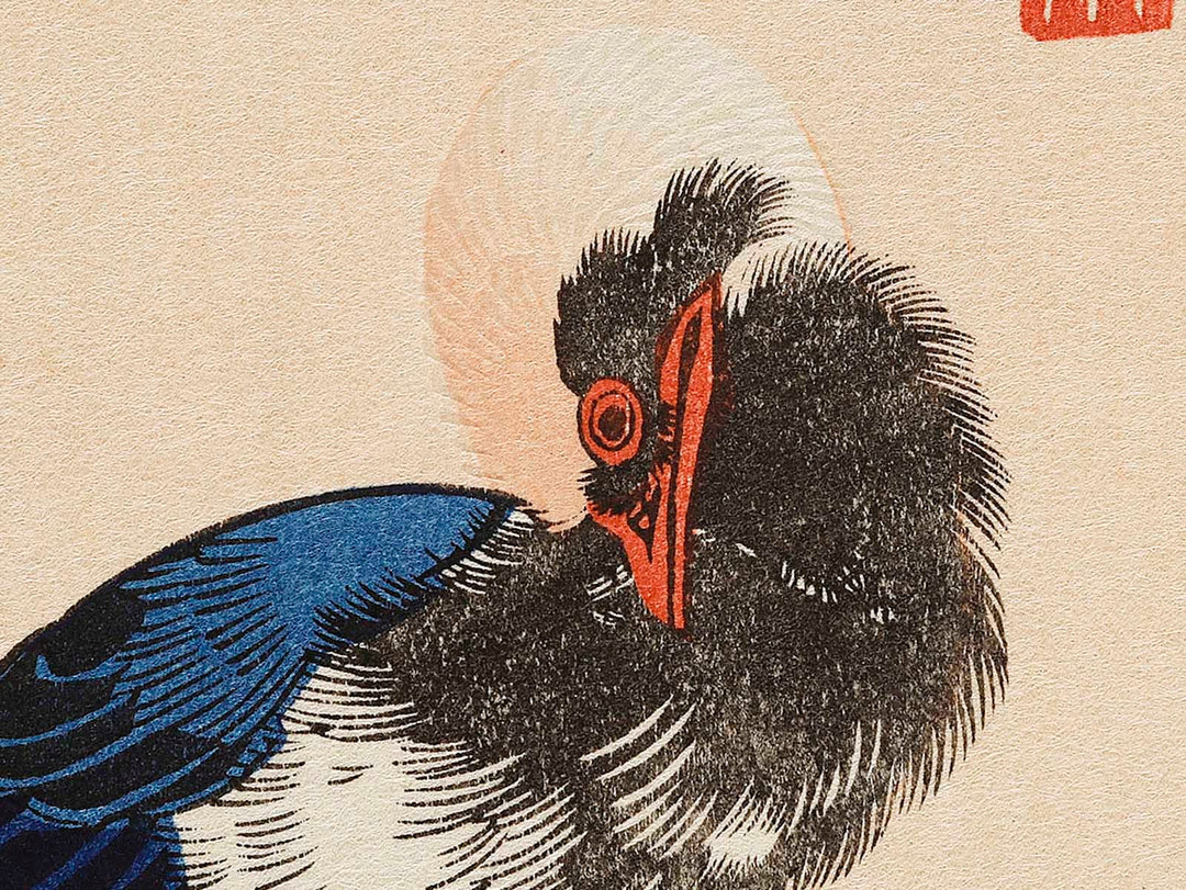 White plum blossoms & long tailed cock by Utagawa Hiroshige, (Medium print size) / BJ328-090