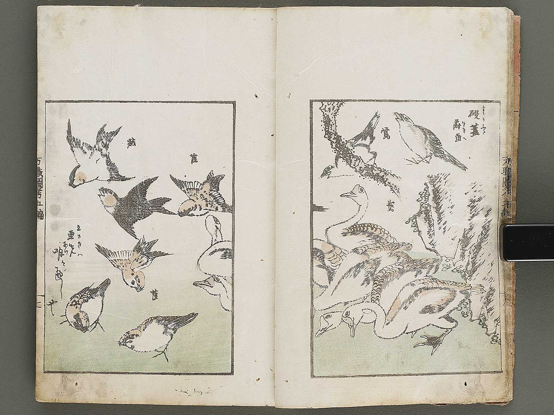 Banshoku zuko Volume 5 by Katsushika Hokusai / BJ326-116