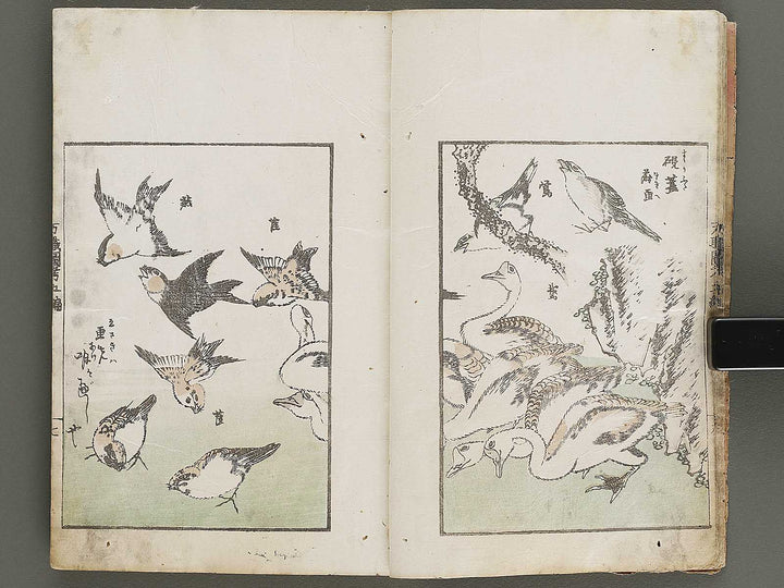 Banshoku zuko Volume 5 by Katsushika Hokusai / BJ326-116