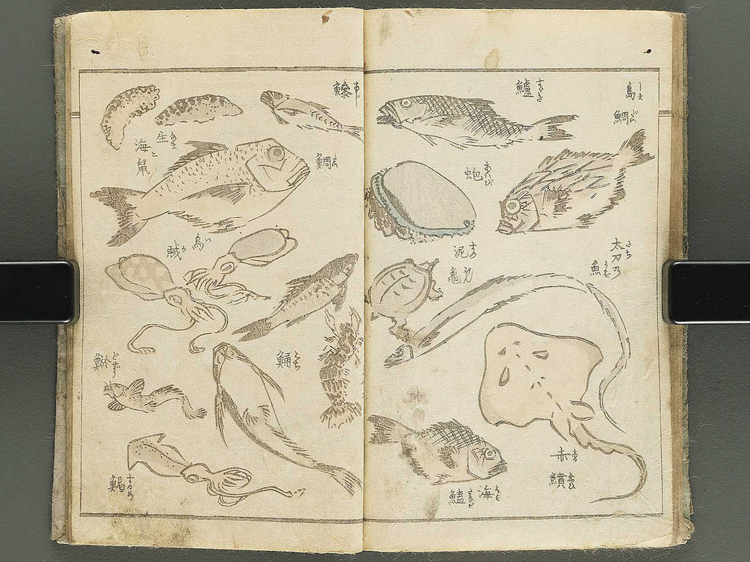 Yanagawa gafu (Jinbutsu sakana mushi) by Yanagawa Shigenobu / BJ348-033