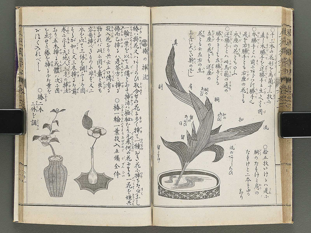 Shoryu hiden ikebana hitorigeiko Volume 2 / BJ347-935