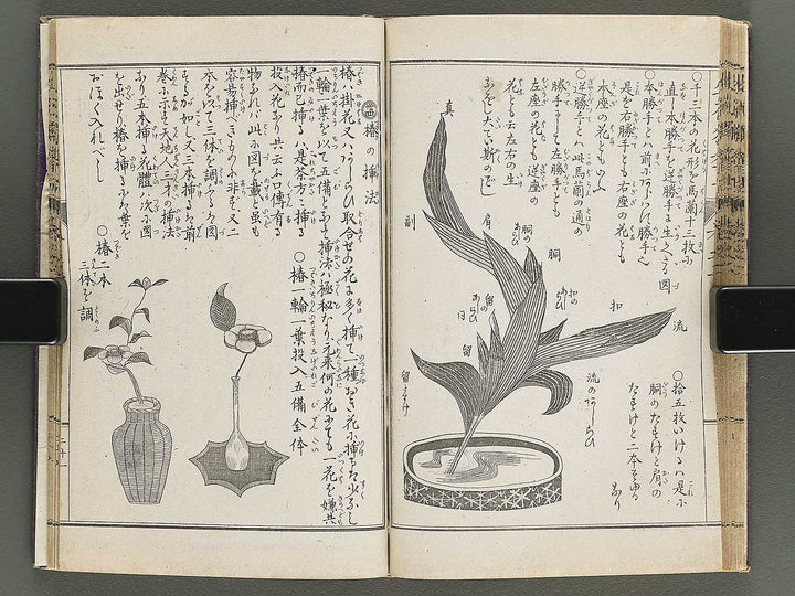 Shoryu hiden ikebana hitorigeiko Volume 2 / BJ347-935