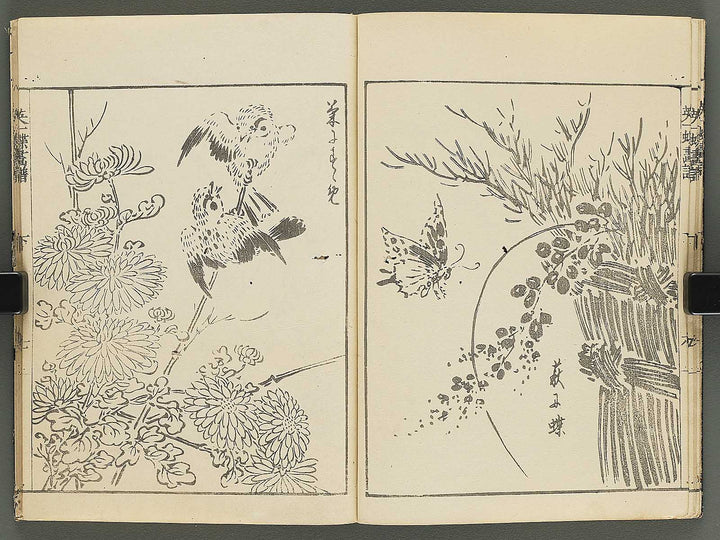 Iccho gafu (Ge) by Hanabusa Iccho / BJ343-644