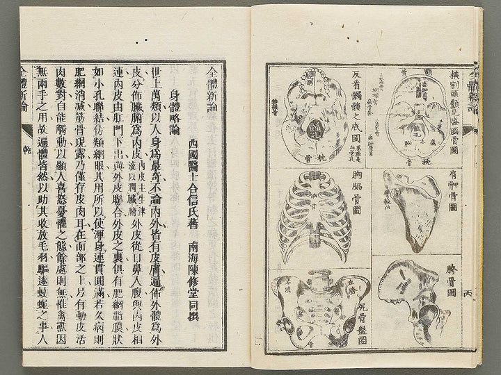 Zentai shinron Ken (Part 1 of 2) / BJ325-346