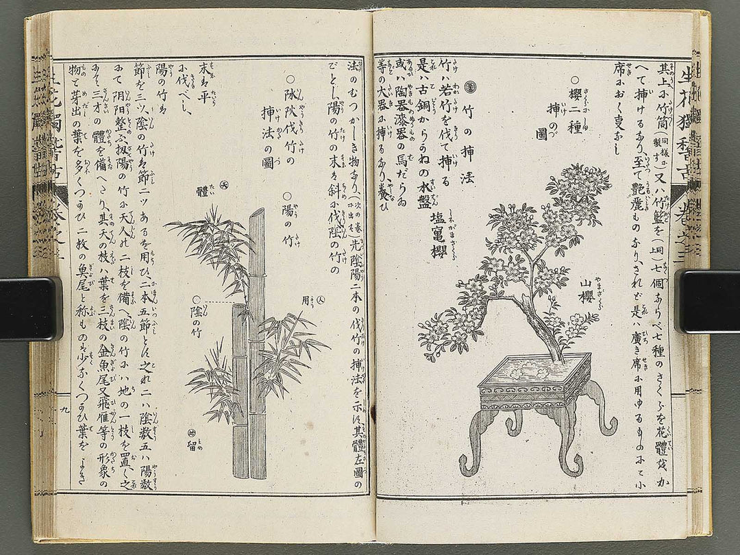 Shoryu hiden ikebana hitorigeiko Volume 3 / BJ347-942