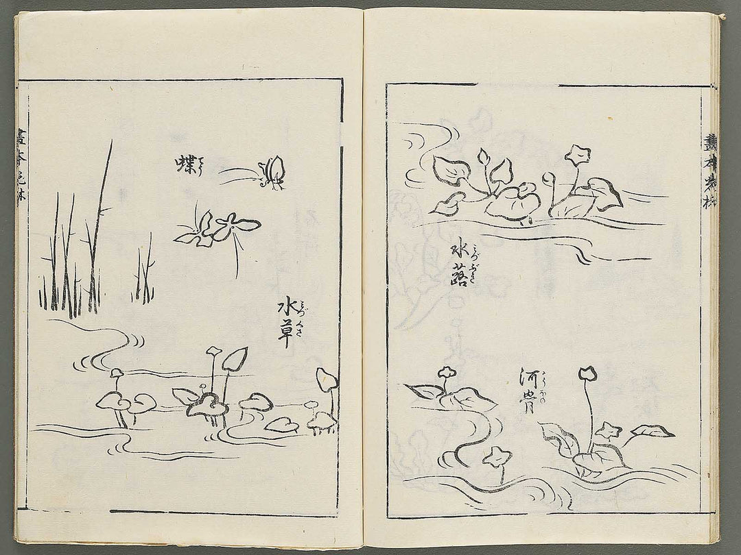 Korin michishirube by Nonomura Chube / BJ351-127