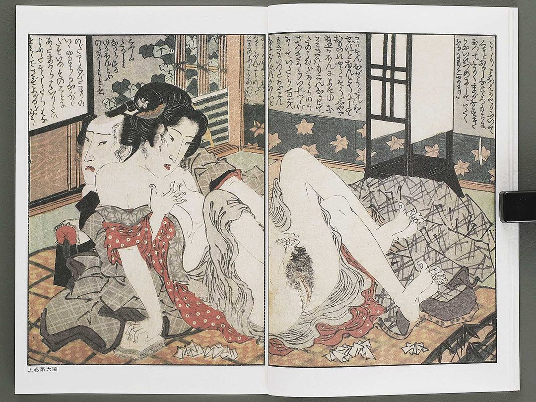 Ezoshi Fuji no yuki Volume 10 by Keisai Eisen / BJ346-472