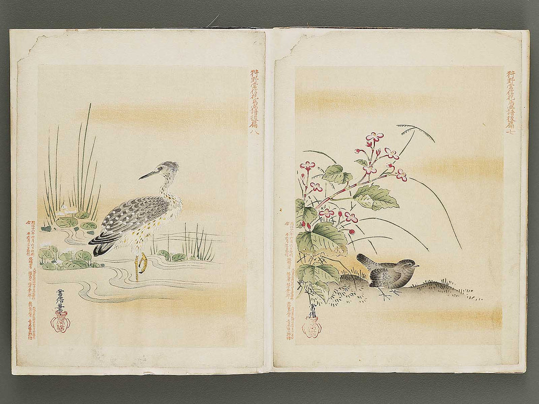 Gacho by Kano-school / BJ324-044