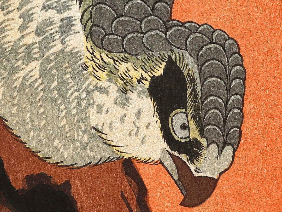 Hinode ni matsu ni taka by Utagawa Hiroshige, (Medium print size) / BJ323-372