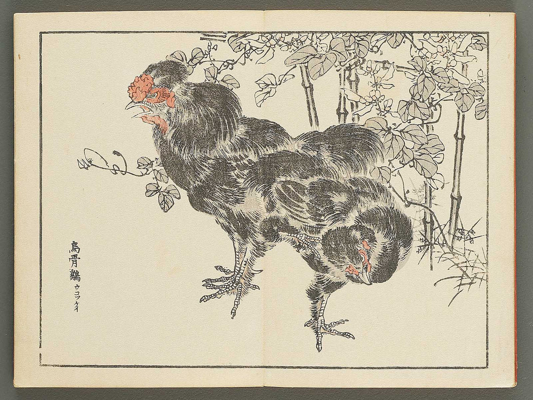 Bairei gafu (Kacho no bu) by Kono Bairei / BJ351-113