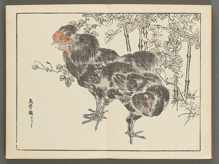 Bairei gafu (Kacho no bu) by Kono Bairei / BJ351-113