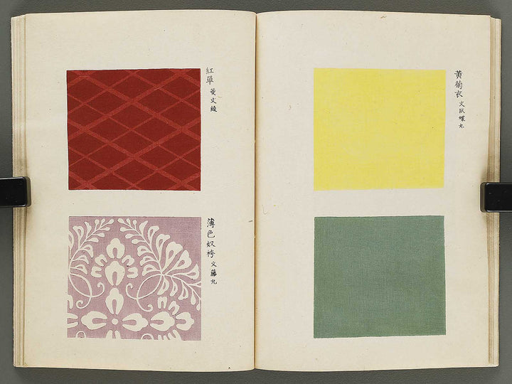 Kojitsu sosho shokumon zue Miyukibu kohen / BJ318-521