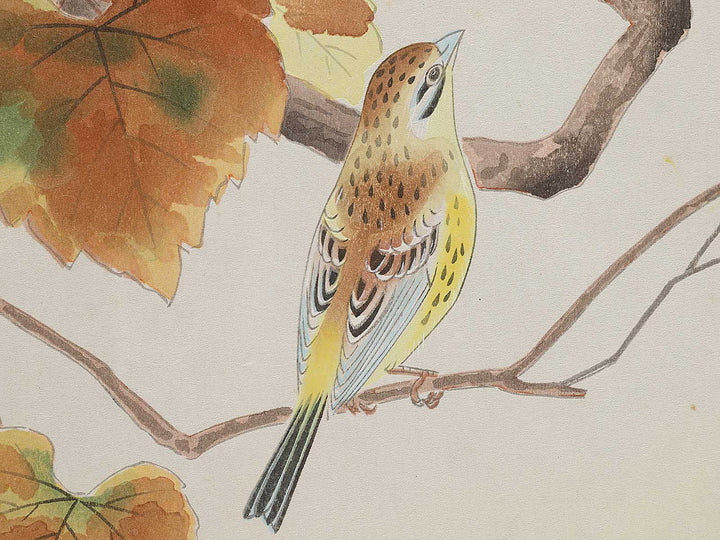 Budo ni shimaaoji by Ashikaga Shizuo, (Large print size) / BJ331-345