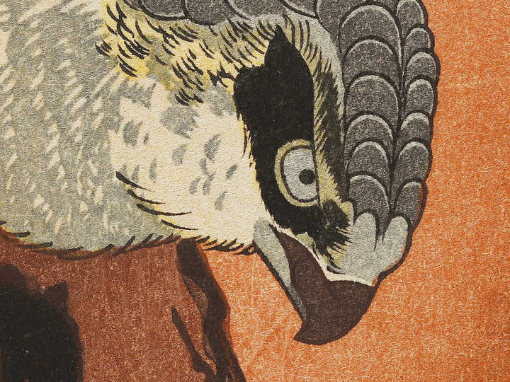 Hinode ni matsu ni taka by Utagawa Hiroshige, (Medium print size) / BJ324-800