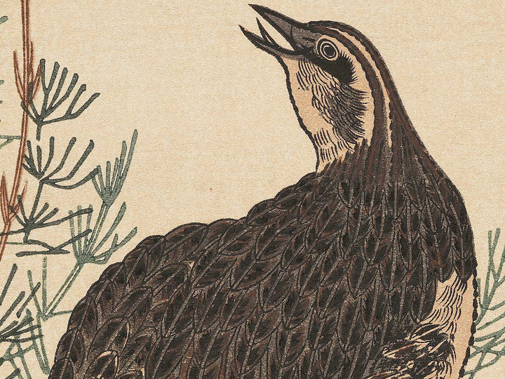 Quail and Skylark from the series Momotidori kyoka awase by Kitagawa Utamaro, (Large print size) / BJ306-887