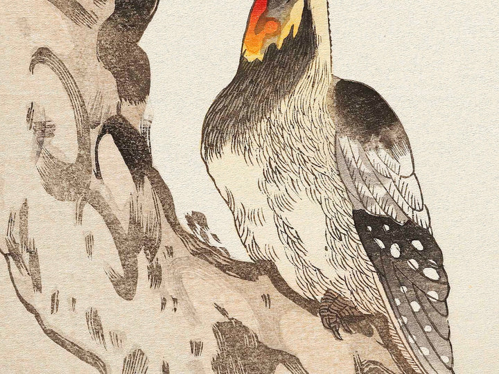 Japanese Grosbeak and Woodpecker from the series Momochidori kyokaawase by Kitagawa Utamaro, (Large print size) / BJ328-027