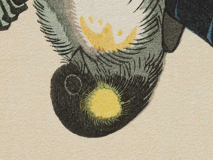 Bullfinch in Tsubaki by Utagawa Hiroshige, (Medium print size) / BJ328-083