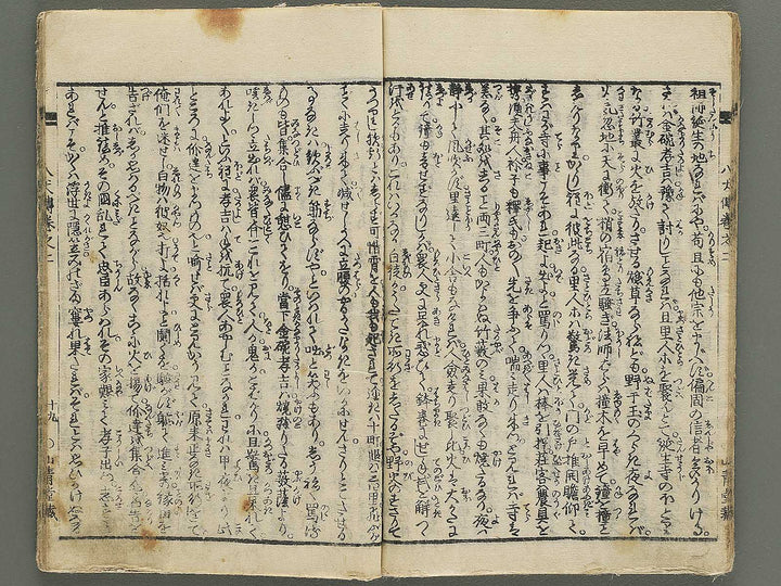 Nanso satomi hakkenden Volume 2 by Yanagawa Shigenobu / BJ347-158