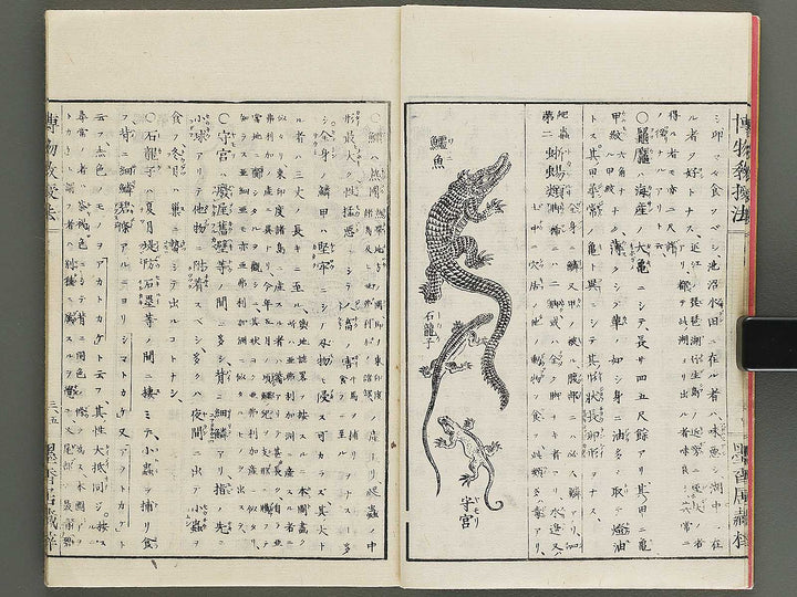 Hakubutsu kyojyuho Volume 3 / BJ341-586