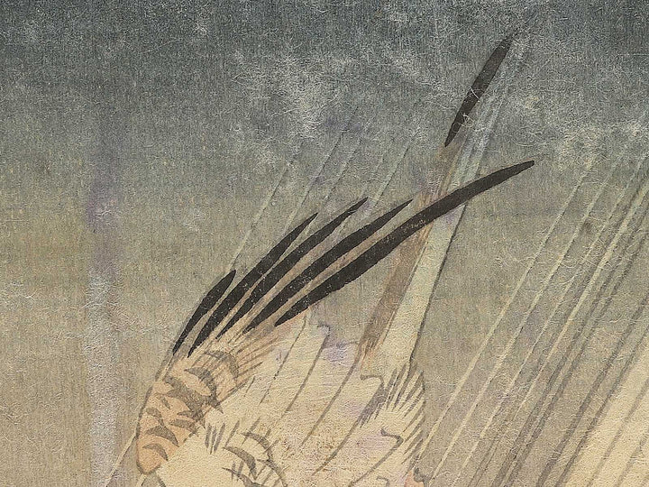 Ame no naka wo tobu Hototogisu (The original title is unknown.) / BJ353-465