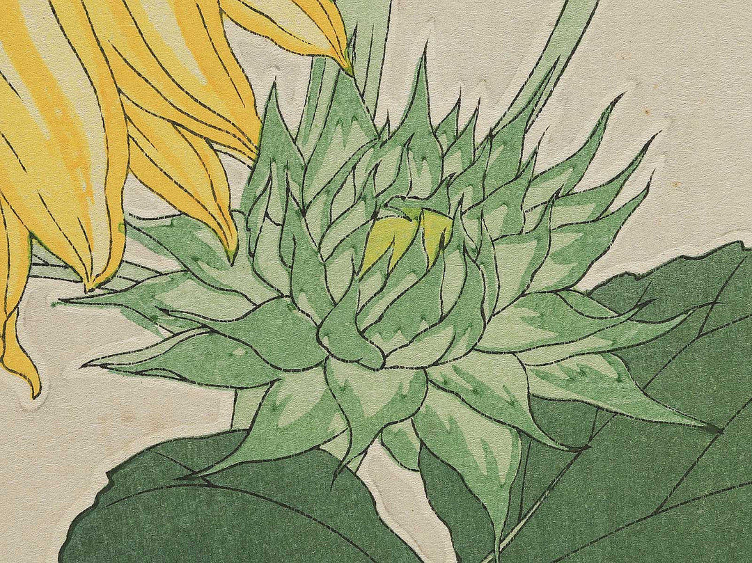 Himawari by Kawarazaki Shodo, (Large print size) / BJ346-276
