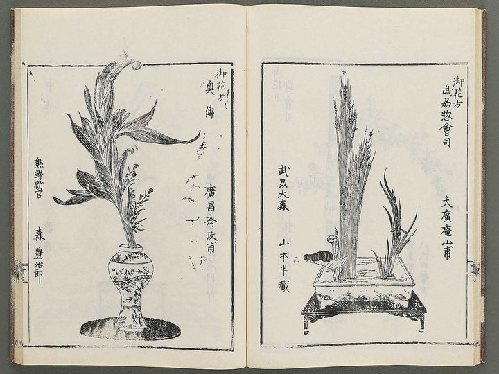 Naniwa no hana by Matsukawa Hanzan / BJ348-992