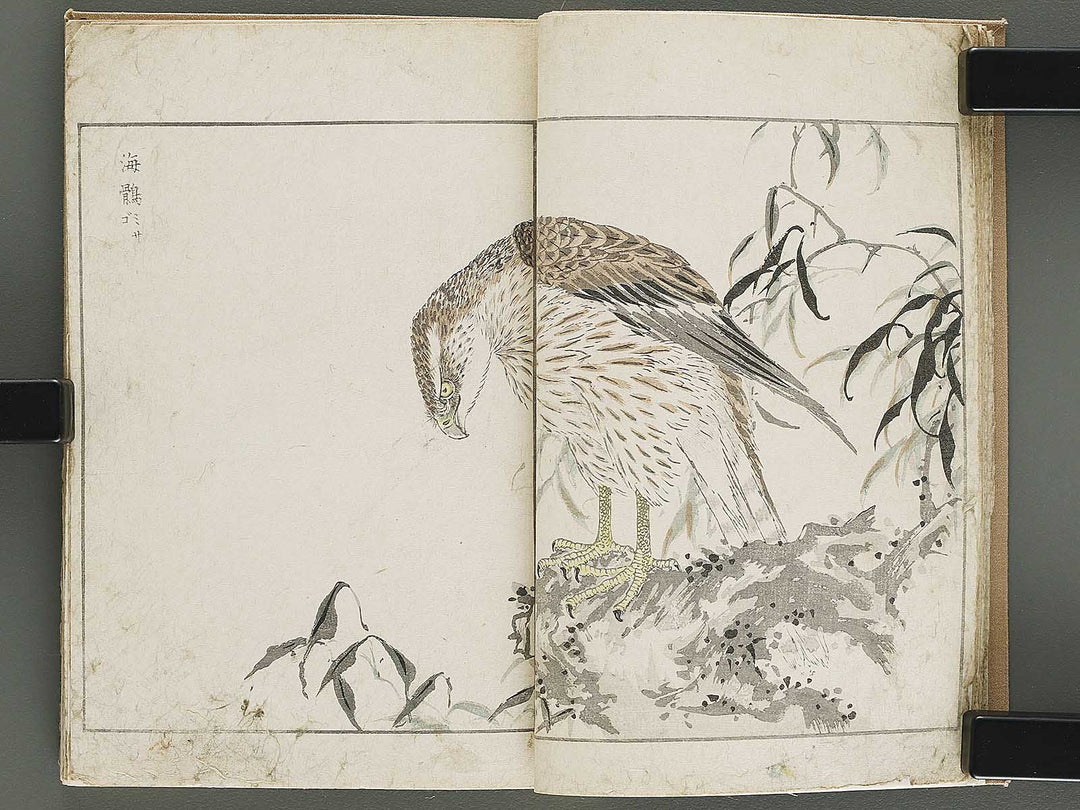 Shucho gafu (Jin) (Part 3 of 3) by Numata Kashu / BJ339-752